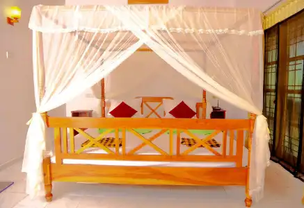 Nature Lanka Ayurveda Resort - 1