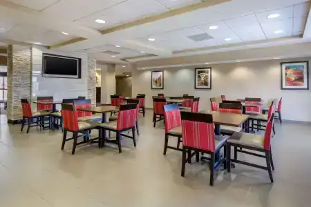 Comfort Inn & Suites SW Houston Sugarland - 27