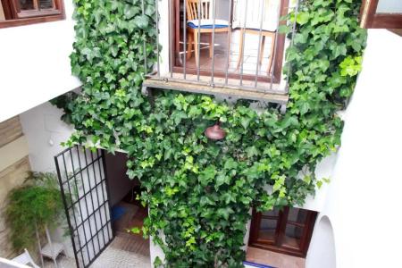 Apartamentos Los Patios de la Judería - 243