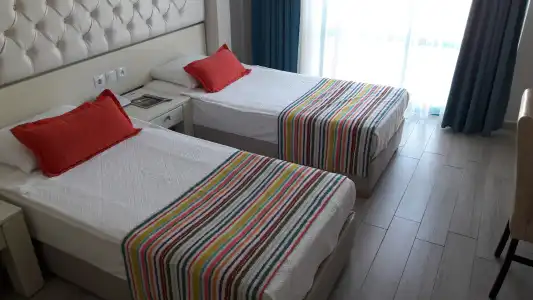 Tropical - 3