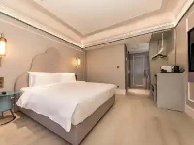 Mercure XI'an Great Tang Mall of
Dayan Pagoda - 82