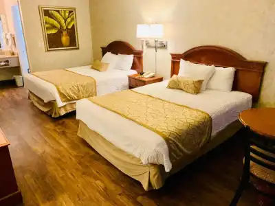 St. George Inn & Suites - 54