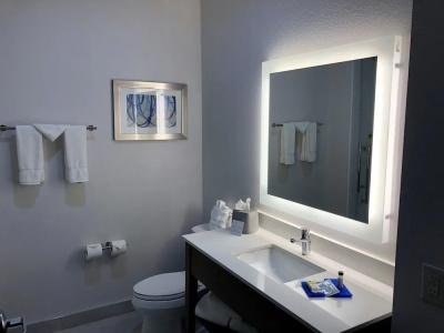 Holiday Inn Express & Suites HOUSTON WESTCHASE - WESTHEIMER by IHG - 73