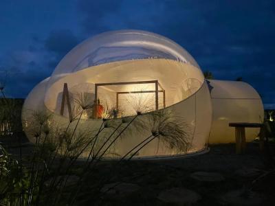 Green Land Bubble Glamping - 27