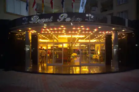 Kleopatra Royal Palm - 0