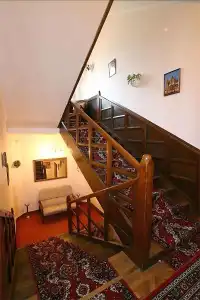 Pawlovnia - 1