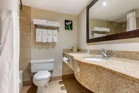 Quality Inn & Suites - 7