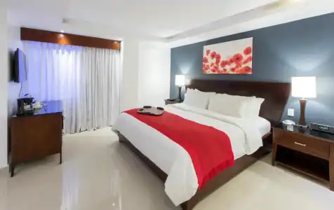 Centro Plaza Hodelpa - 85