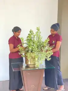 Cloud 9 Negombo - 8