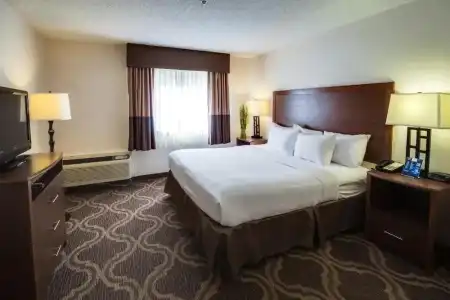 Ashmore Inn and Suites - 16