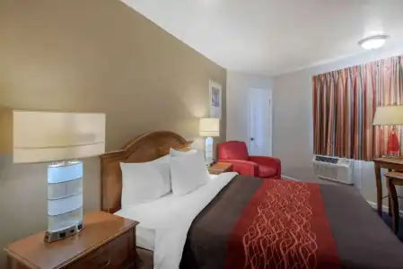 Rodeway Inn - 32