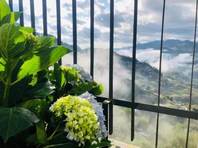 Pao's Sapa Leisure - 37