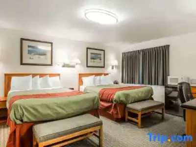 Rodeway Inn Newport - 32