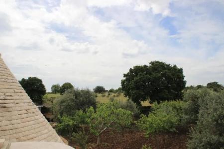 Masseria Peppeturro - 70