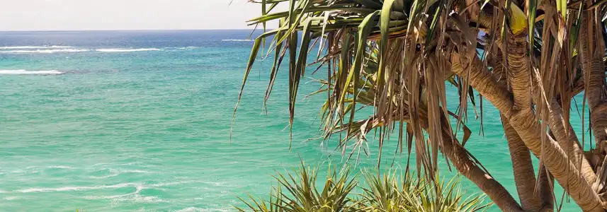 Noosa Place Resort - 19