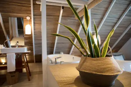 Preskil Island Resort - 39