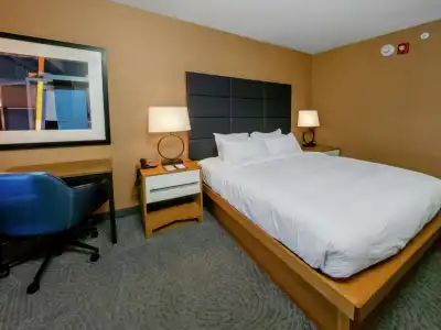 DoubleTree by Hilton Niagara Falls New York - 5