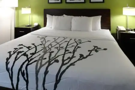 Sleep Inn & Suites Columbus - State University Area - 29