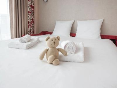 Mercure Clermont Ferrand Centre Jaude - 26