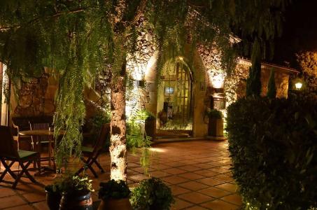 Galena Mas Comangau - 16