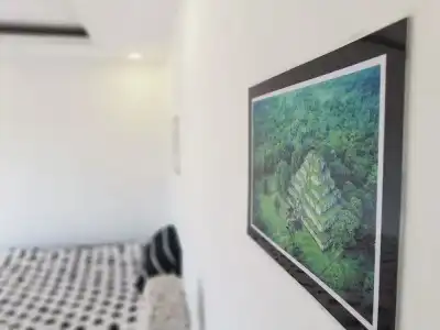 Cat's Hostel - 1