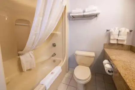 Comfort & Suites - 32
