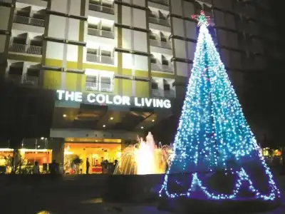 The Color Living - 44