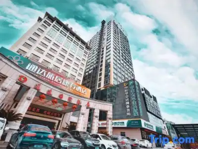 Tongda International - 1