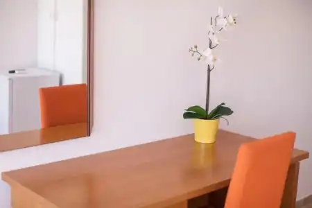 Hostal Los Pinos - 50