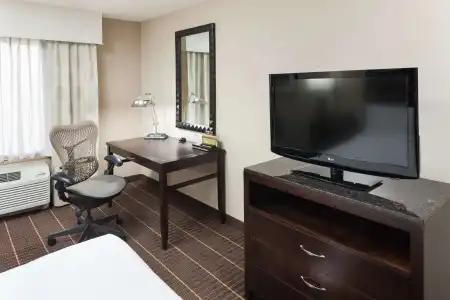 Hilton Garden Inn El Paso Airport - 5