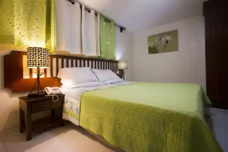 Ideal Villa - 1