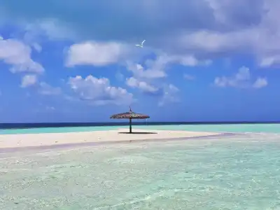 Simry Beachside - 7
