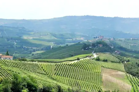 Villa Bellavista Alba - 30