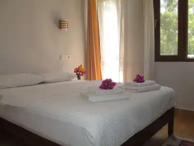 Eucalyptus Pension - 0