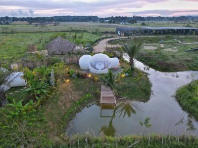 Green Land Bubble Glamping - 28