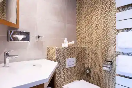 Best Western Premier Montfleuri - 82
