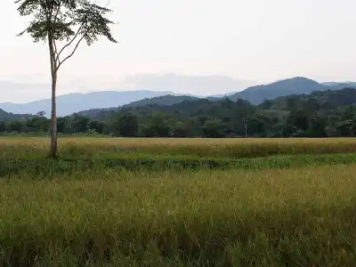 Bambuh Boutique Homestay - 15