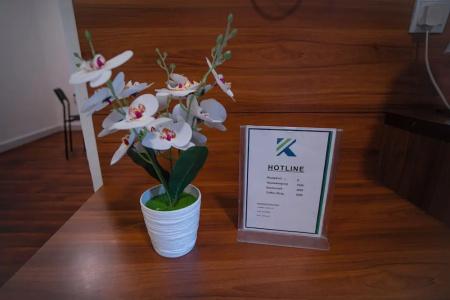 Mercure Luxor Karnak - 75