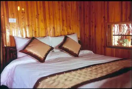 Monkey Island Resort - 2