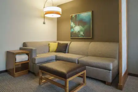 Hyatt Place Houston/Galleria - 13