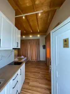 Arial Penthouse Suites - 79