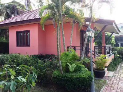 The New Villa - 24