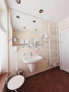 Alexa - 43