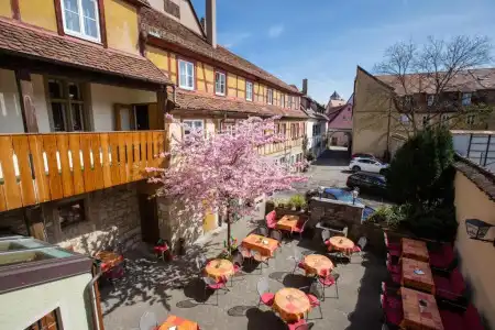 Hotel-Gasthof Goldener Greifen - 9