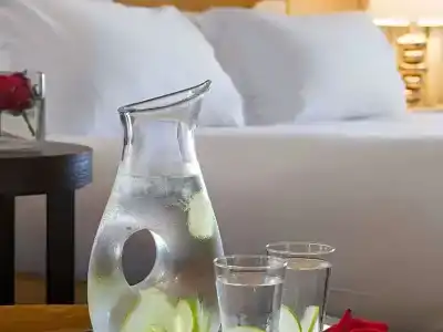 Sofitel Marseille Vieux-Port - 46