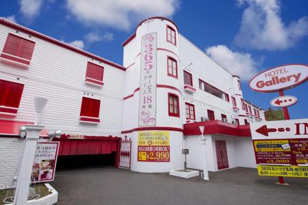 Gallery - 12