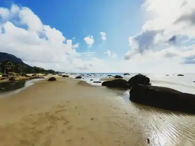 Cay Sao Phu Quoc - 6
