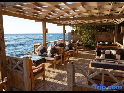 Penguin Village Dahab - 13