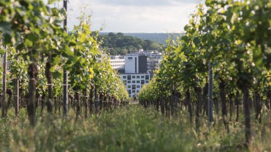 Holiday Inn - the niu, Form Stuttgart Feuerbach by IHG - 12