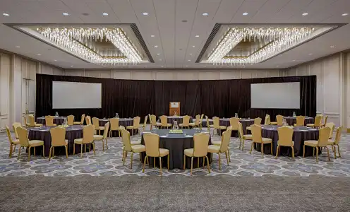 DoubleTree by Hilton Houston - Greenway Plaza - 20